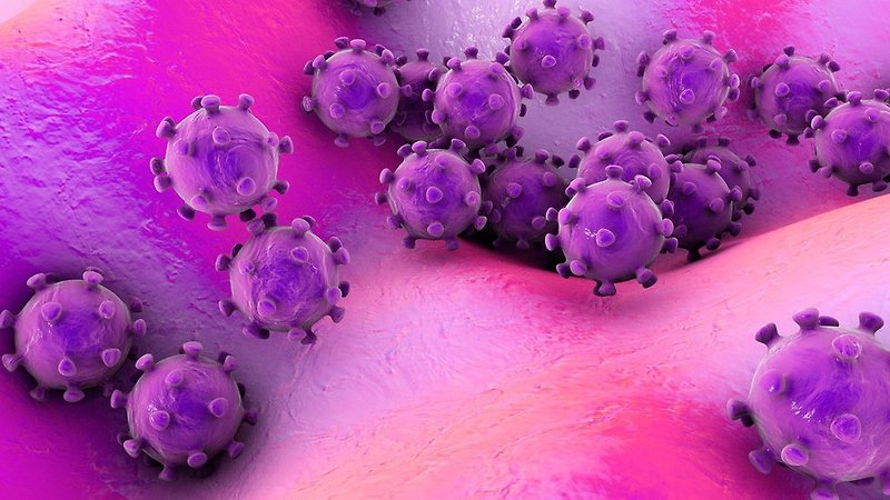 일본 코로나바이러스 첫 사망자 발생