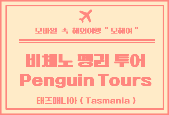 태즈매니아 여행 피체노 펭귄 투어 후기 (Bicheno Penguin Tours)