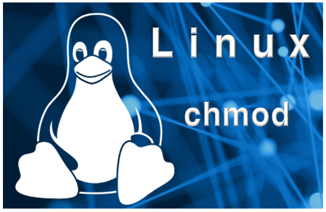 [Linux] 리눅스 서버 기본 명령어 chmod 명령어 옵션 사용법 총정리