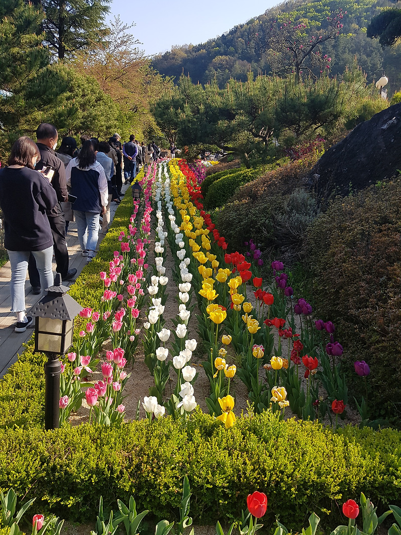 금산, 대전, 세종 충청도 근교 여행 -  금산 하늘물빛정원