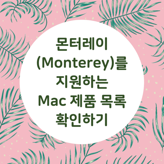 macOS - 몬터레이(Monterey)를 지원하는 맥북 알아보기