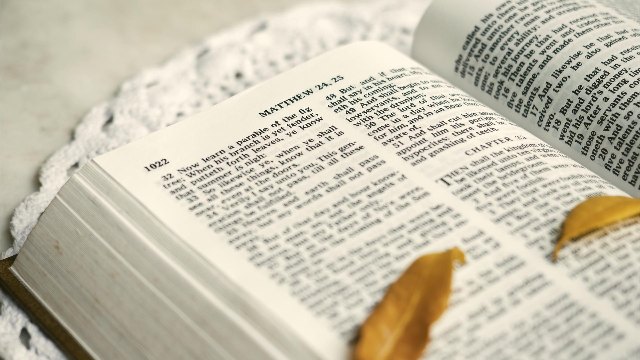 [하나님의 약속]도대체 어떻게 성경을 대하고 사용해야 하나님의 뜻에 맞는가? 성경의 고유한 가치는 무엇인가?