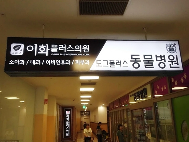 서울 도그플러스 동물병원 강서점