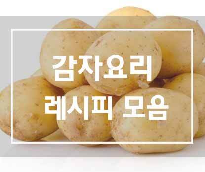 감자요리 9가지 레시피 모음