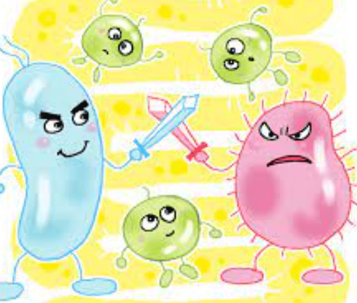 유산균 프로바이오틱스 효능과 부작용 / 유산균이 많은 음식