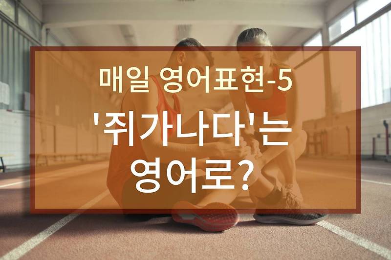 '쥐가나다'는 영어로?