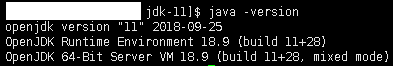CentOS (linux) 에서 JAVA 설치하기 (openjdk11)