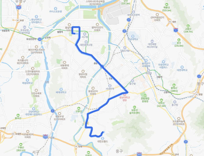 [대전] 315번버스 시간표,  요즘 :: 오월드, 충남대병원, 용문역, 둔산동