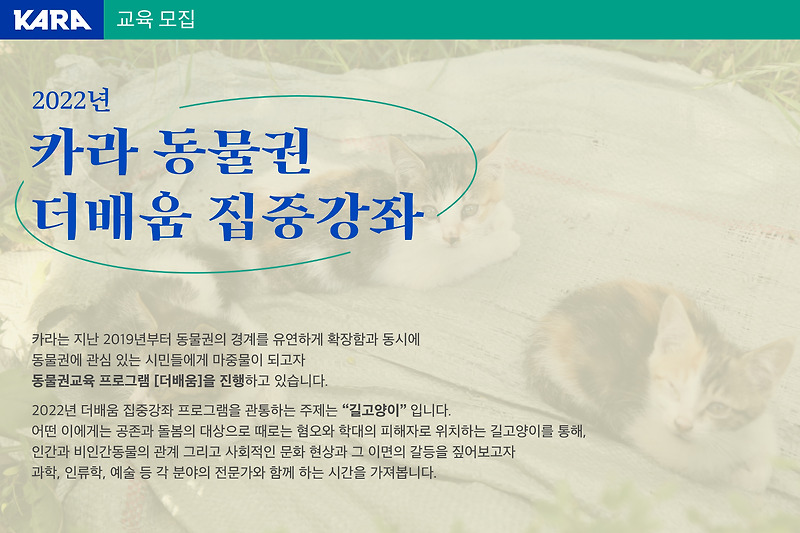 동물권행동 카라, 동물권 연속강좌 개최... 