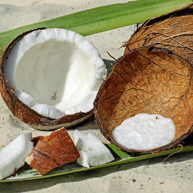 최강의 오일 - 코코넛 오일의 미친 효능들
