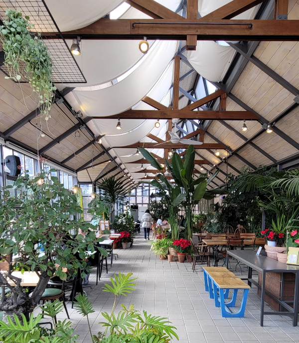 이천 식물원 카페 '티하우스에덴'은 다즐링 홍차와 스콘이 맛있는 맛집