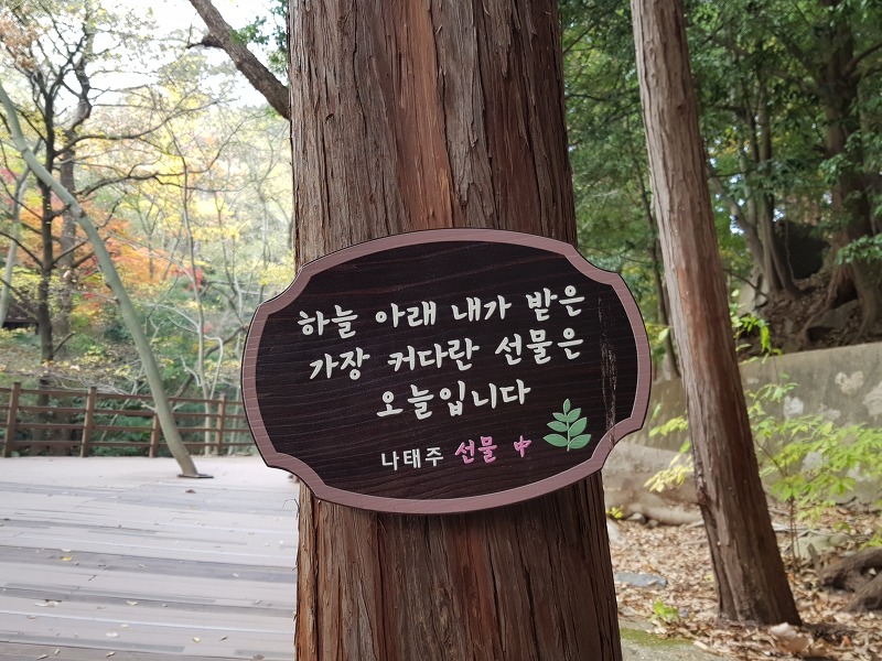 부산 초읍 어린이대공원 걷기 편한 녹담길의 좋은 글/나태주 소윤