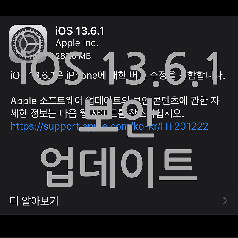 iOS 13.6.1 업데이트 및 CVE 란?