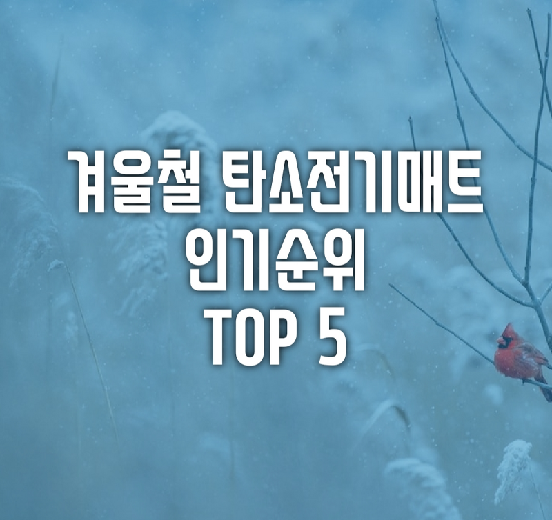 겨울철 탄소 전기매트 추천 인기 순위 TOP 5