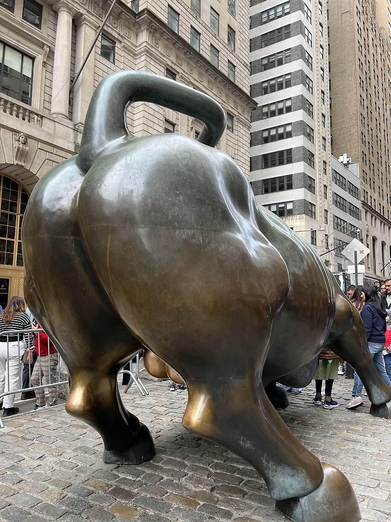 [뉴욕 여행] 돌진하는 황소상 후기(Chargring Bull)