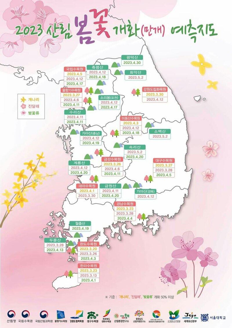 2023년 벚꽃 매화 개나리 진달래 개화지도 4월 가볼만한 곳 꽃나들이 봄나들이 가자!