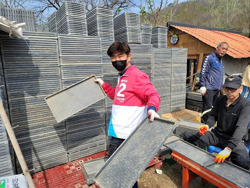 신북면 농업인단체 공동못자리 작업