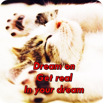 ‘꿈 깨’, ‘어림 없어’는 영어로 ‘Dream on’