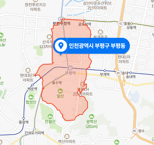 인천 부평구 부평동 빌라 앞 친형 살인사건 (2021년 1월 6일)