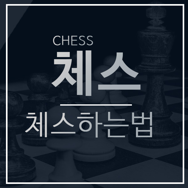 체스하는법 기물의 용도, 캐슬링, 앙파상 등 기본 법칙 -1