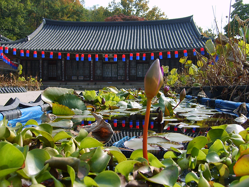 걷고 사랑하며 #255: 서대문구 안산 봉원사(奉元寺, Bongwonsa)의 가을풍경