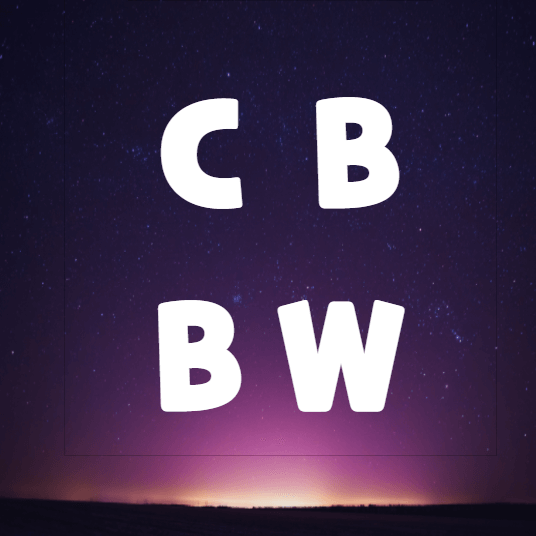 CB(전환사채)/BW(신주인수권부 사채)