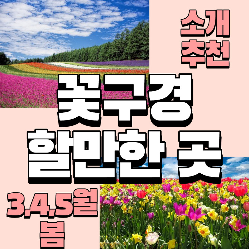 4월, 5월 봄 꽃구경 할만한 곳_ 국내여행지 베스트 꽃축제 추천 관광지
