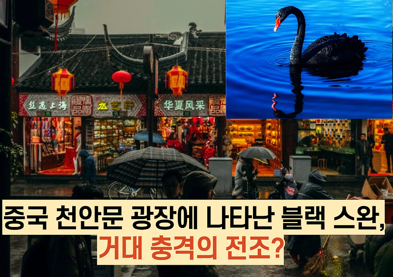 중국 천안문 광장에 나타난 블랙 스완, 거대 충격의 전조?