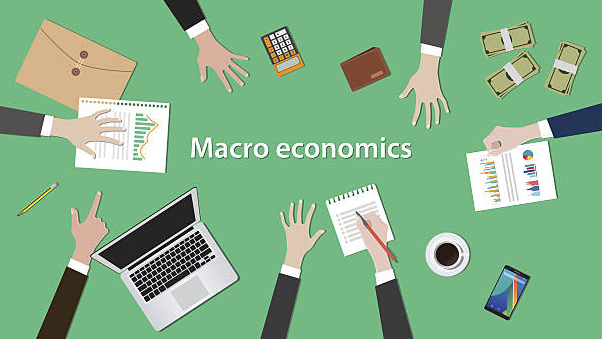 마이크로 vs. 매크로 경제학: 경제학 학파 비교 및 선택 시 고려할 점