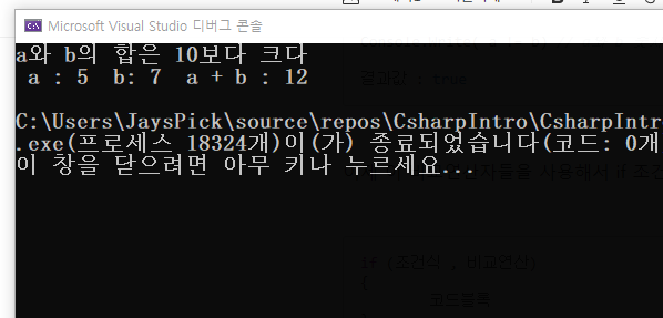 C# 코딩 기초 8 조건문 if, if else, switch case (Conditional Statement)