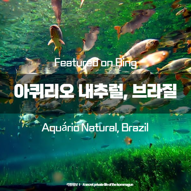 Featured on Bing 아퀴리오 내추럴, 브라질 Aquário Natural, Brazil