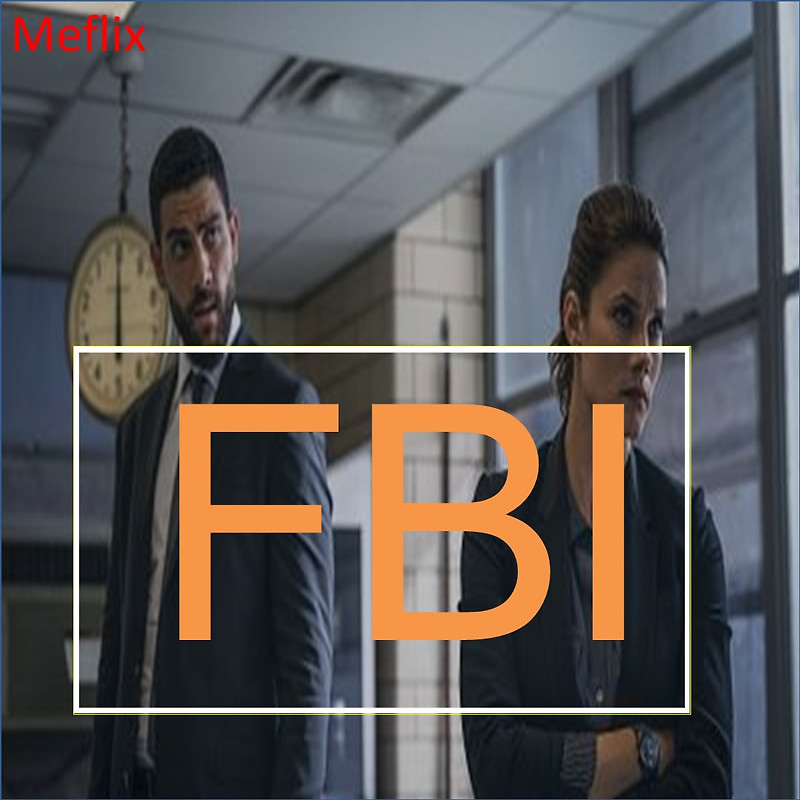 미드 FBI::긴박하게 흘러가는 범죄수사드라마