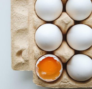 계란 보다 단백질이 더 많은 의외의 식품 TOP 5