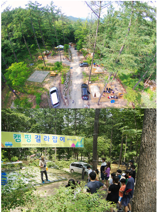 [산림청] 초보캠퍼는 화천숲속야영장으로 모여라(캠핑길라잡이프로그램)