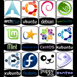 리눅스(Linux)의 종류