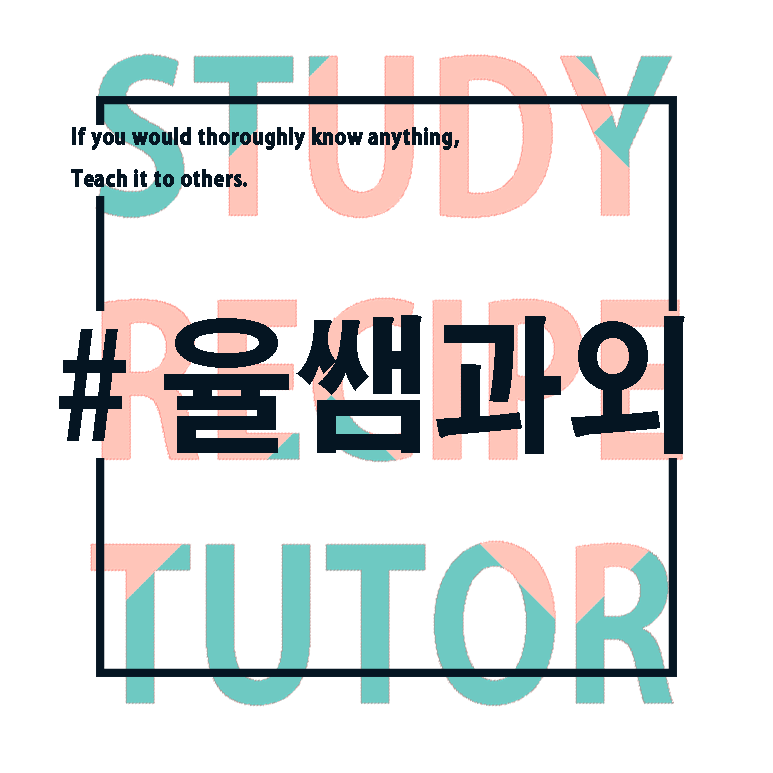 대흥동영어 전문과외로 teaching