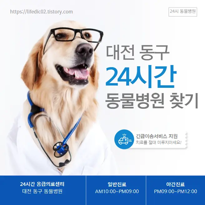 대전 동구 24시간 동물병원 근처 야간 일요일 강아지 병원 13곳