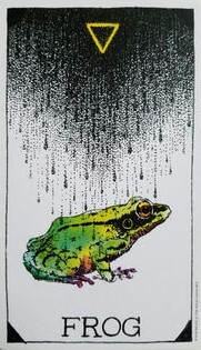 [오라클카드배우기/와일드언노운애니멀스피릿]The Wild Unknown Animal Spirit Frog 개구리 해석 및 의미
