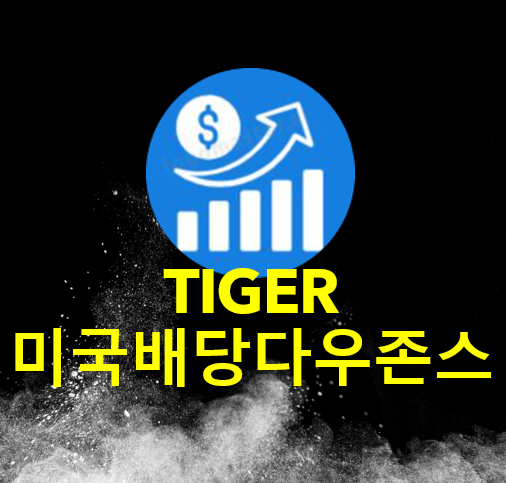 TIGER 미국배당다우존스, 월배당 ETF 추천, 한국형 SCHD, 퇴직연금, ETF 추천, 배당 ETF 추천