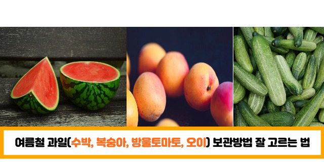 [생활꿀팁] 여름철 과일(수박, 복숭아, 방울토마토, 오이) 보관방법 잘 고르는 법