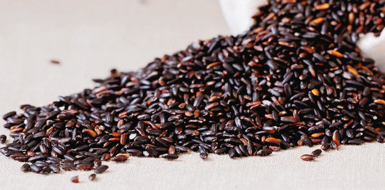 흙미쌀의 풍미와 건강 효능 영양성분