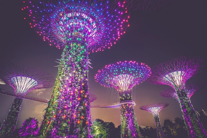 싱가포르, 싱가폴 비상장, 상장 회사 법상의  주주의 권리
