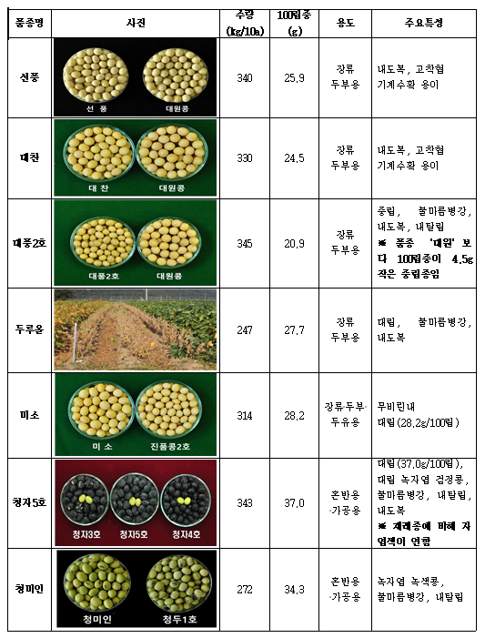 콩 신품종 종자, 농업기술실용화재단 통해 공급_농촌진흥청