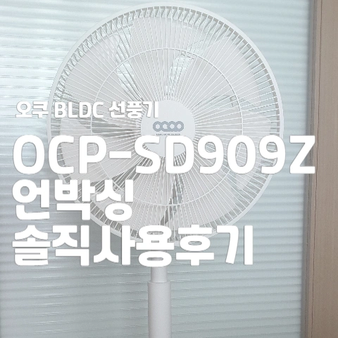 오쿠 BLDC 선풍기(OCP-SD909Z) 언박싱 솔직 사용후기