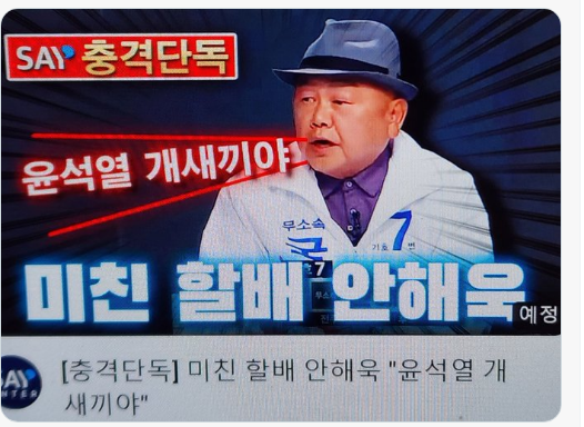전주 국회의원 재선거 출마 '쥴리의혹' 안해욱 생방송 중 윤석열에게 욕설 논란