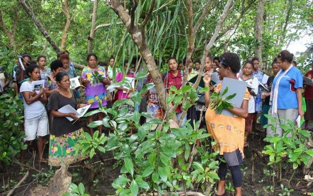 메리케이, 산호 삼각지대 여성 지도자들의 '해양생물 다양성 보호' 조치 조명