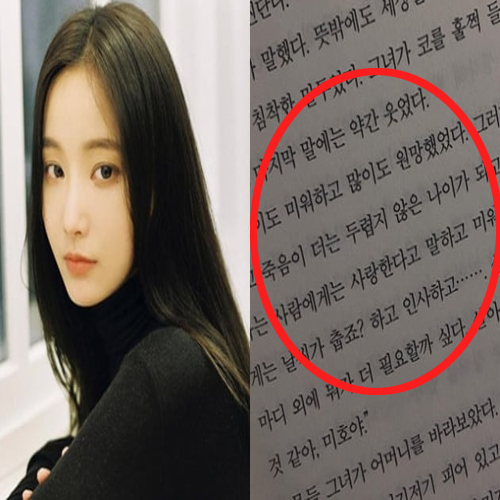 모모랜드 연우 자살암시글 논란