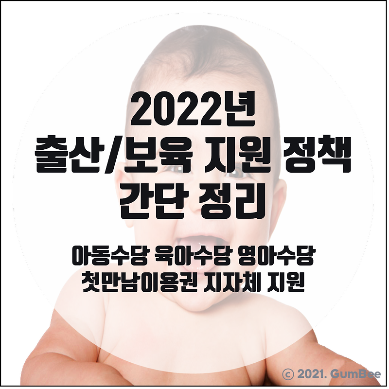 2022년 출산/보육 지원 정책 간단 정리 (아동수당 육아수당 영아수당 첫만남이용권 지자체 지원)