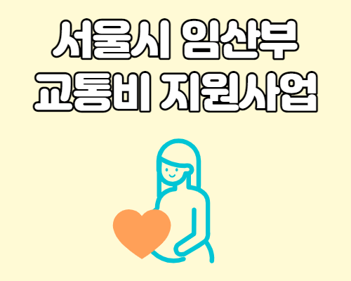 서울시 임신부 교통비 지원사업