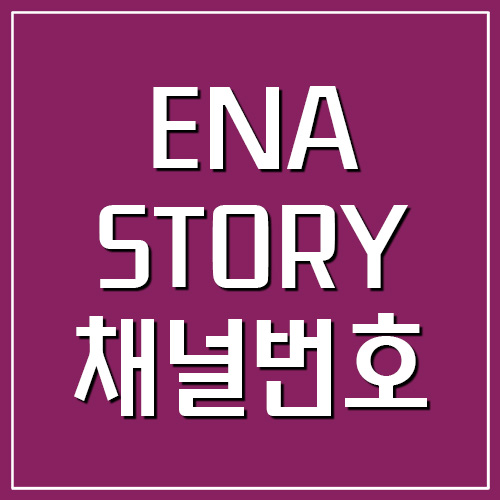 ENA STORY 이엔에이 스토리 지역별 채널번호 찾기